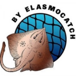 Λογότυπο By ElasmoCatch