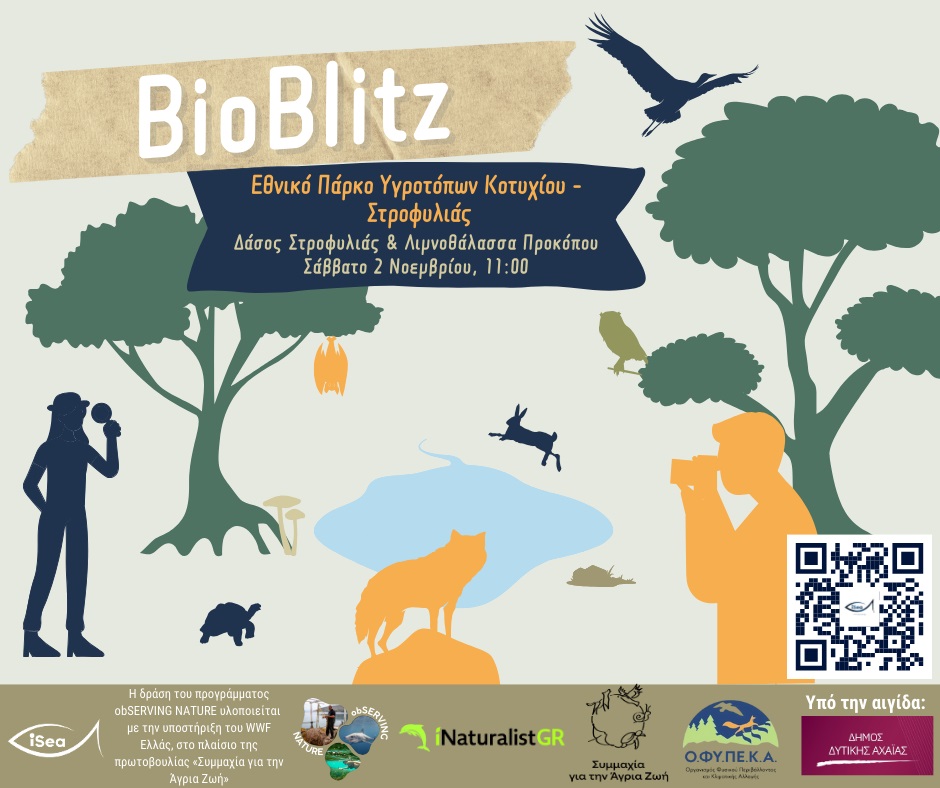 Πρόσκληση σε BioBlitz στο Εθνικό Πάρκο Υγροτόπων Κοτυχίου-Στροφυλιάς 