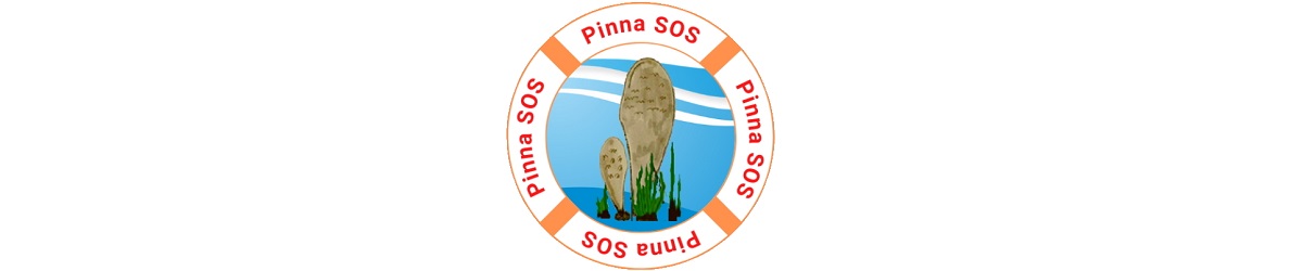 Λογότυπο Pinnasos