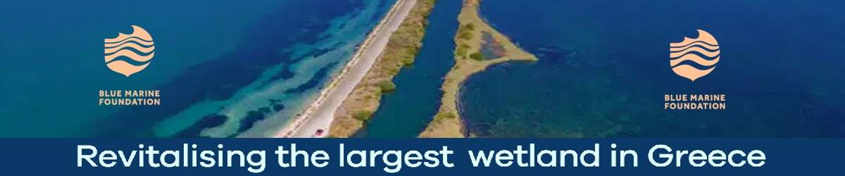 Projects "Revitalising the largest wetland in Greece"