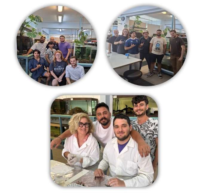 Photo 1- Aquaculture & Fisheries Internship in Greece