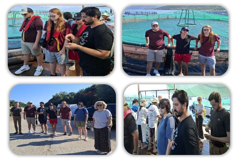 Photo 2 -Aquaculture & Fisheries Internship in Greece