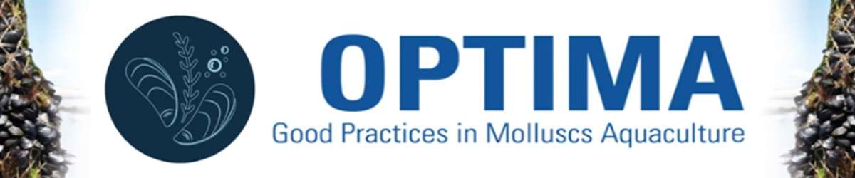 OPTIMA Ορθές Πρακτικές στην υδατοκαλλιέργεια Δίθυρων Μαλακίων